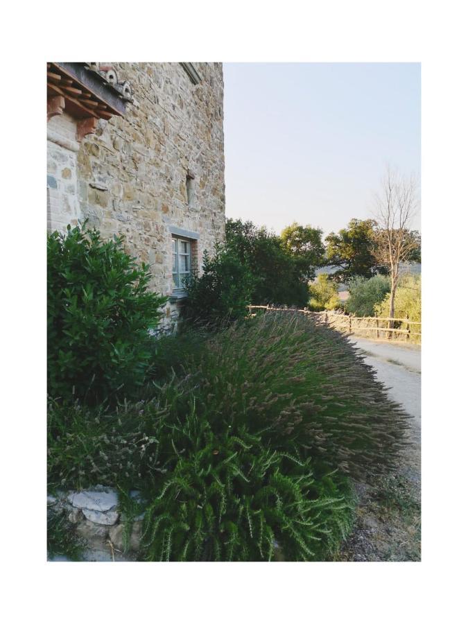Podere Paradiso Villa Magione Exterior photo